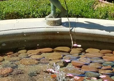 Statue & fountain