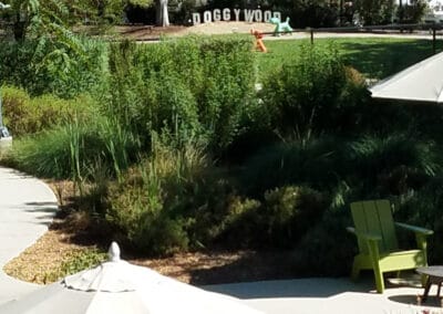 Walkway next to seating underneath and umbrella