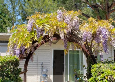 Entrance to living area